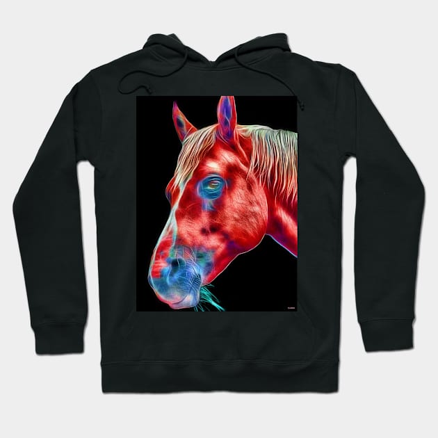 Horse Close Up Hoodie by danieljanda